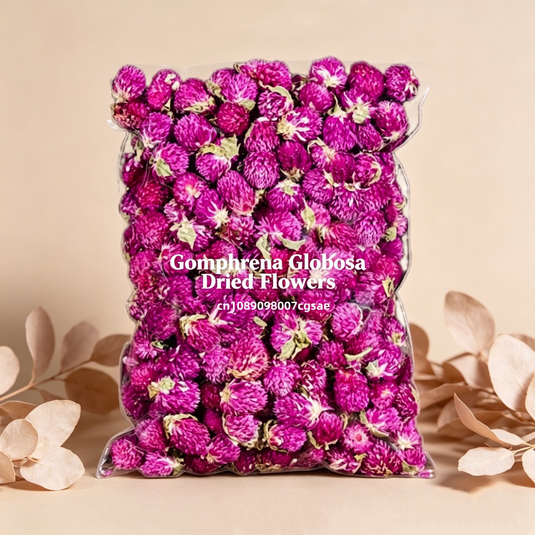 Candle Making And Perfume - Hoogwaardige natuurlijke gedroogde Gomphrena bloemen, rood-paarse