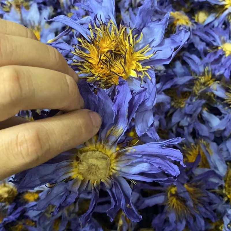 Natuurlijke Lotusbloesem Aroma - Candle Making And Perfume recensie en prijs